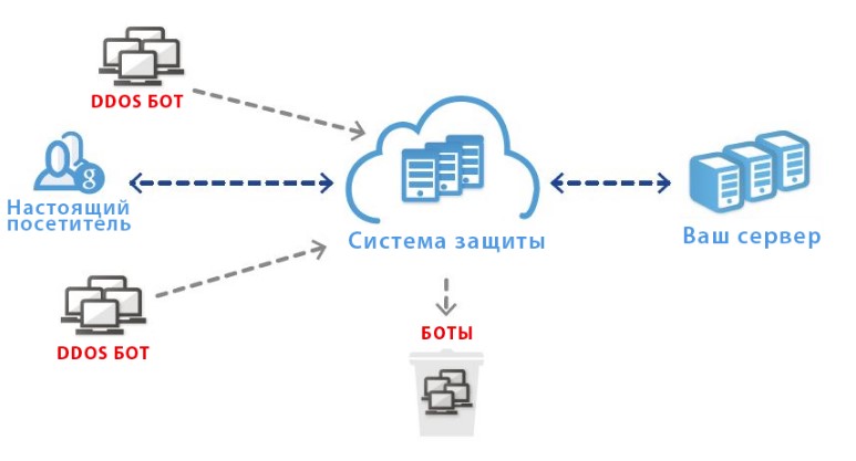 blokirovka_kkt_pri_ddos_atake_alster.store.jpg